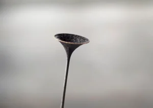 Antrei Hartikainen Kunstgegenstände^Skulptur Kukkii Fungi, klein