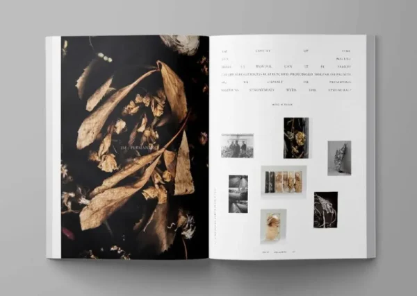 Ark Journal Architektur^Vol. VII, Cover 2