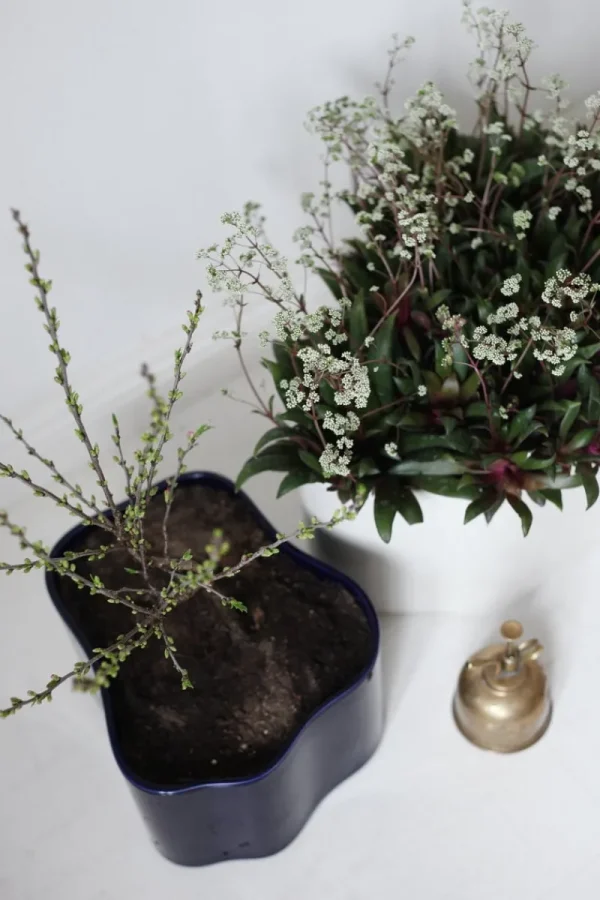 Artek Indoor-gardening^Übertopf Riihitie A, mittelgroß, blau glänzend