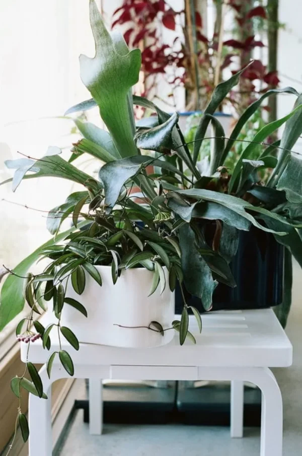 Artek Indoor-gardening^Übertopf Riihitie A, klein, weiß glänzend