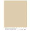 Cover Story Wandfarben^x Iittala Farbmuster, i01 EEVA