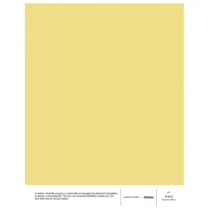 Cover Story Wandfarben^x Iittala Farbmuster, i02 TOINI