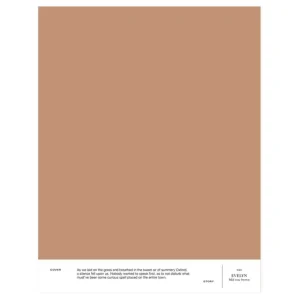 Cover Story Wandfarben^Farbmuster, 022 EVELYN – mittleres Rosabraun