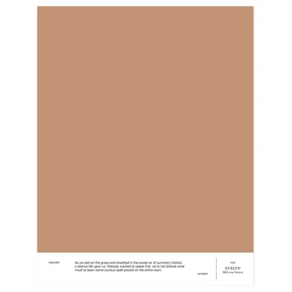 Cover Story Wandfarben^Farbmuster, 022 EVELYN – mittleres Rosabraun