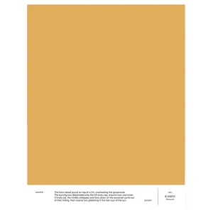 Cover Story Wandfarben^Farbmuster, 032 KAREN – Senfgelb