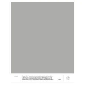 Cover Story Wandfarben^Farbmuster, 012 MARY – Dunkelgrau