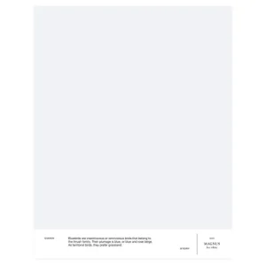 Cover Story Wandfarben^Farbmuster, 003 MAGNUS – Ice White