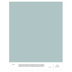 Cover Story Wandfarben^Farbmuster, 016 TOVE – Mid Storm Grey