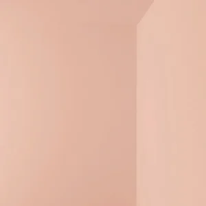 Cover Story Wandfarben^Farbmuster, LB5 EDITH – Dusty Pink