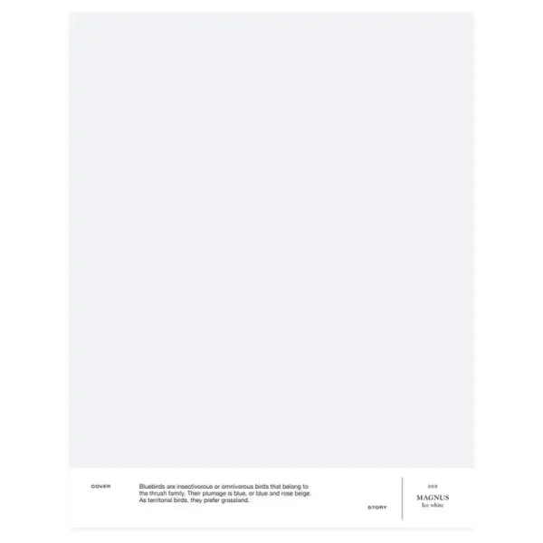 Cover Story Wandfarben^Innenfarbe, 3,6 L, 003 MAGNUS – Ice White