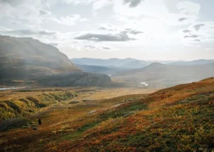 Cozy Publishing Speisen^Food Over the Campfire - Recipes for Day Hikes and Wilderness Treks