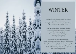 Cozy Publishing Speisen^Four Seasons of Cabin Cooking