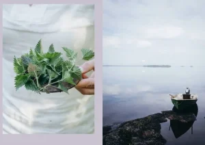 Cozy Publishing Speisen^Four Seasons of Cabin Cooking