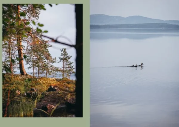Cozy Publishing Speisen^Four Seasons of Cabin Cooking