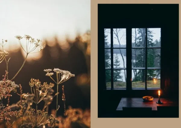 Cozy Publishing Speisen^Four Seasons of Cabin Cooking