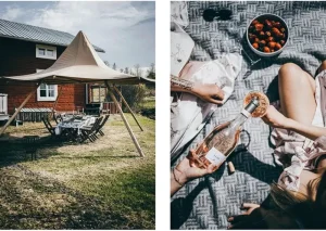 Cozy Publishing Speisen^Recipes and Unforgettable Experiences: Lapland’s 8 Seasons