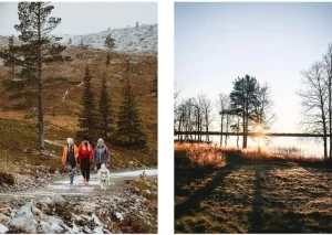 Cozy Publishing Speisen^Recipes and Unforgettable Experiences: Lapland’s 8 Seasons