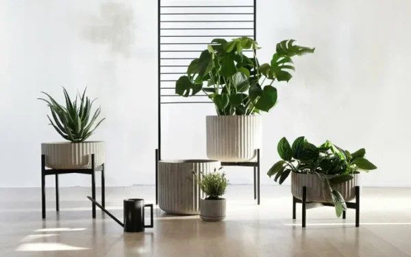 Elementa Indoor-gardening^Klorofyll Pflanzgefäß mit Spalier, mittel und hoch, Grau