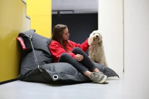 Fatboy Terrassenmöbel | Sitzgelegenheiten^Buggle Up Outdoor Sitzsack, Gewittergrau
