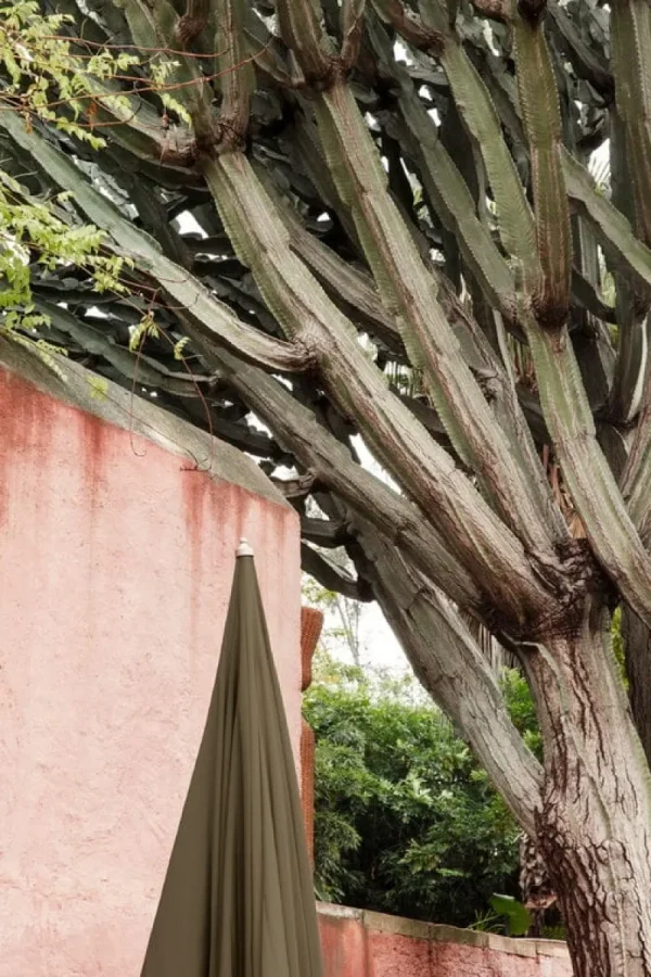 ferm LIVING Sonnenschirme^Lull Sonnenschirm, Buche - Olivgrün