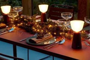 Hem Tischlampen | Tragbare Lampen-Fermob Swiing tragbare Tischleuchte, 20 cm, Black Cherry