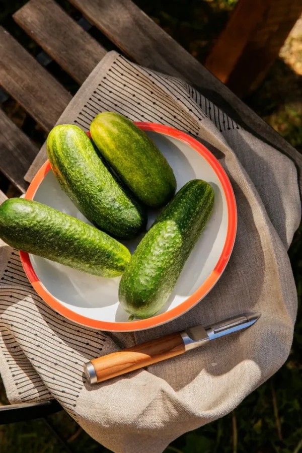 Fiskars Küchenutensilien^Norden Sparschäler, feste Klinge