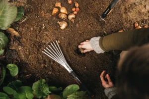 Fiskars Garten^Xact Grubber