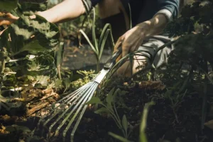 Fiskars Garten^Xact Handharke