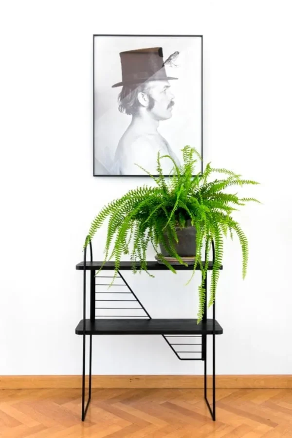 Montana Furniture Regale | Tische-Fólk Reykjavík Konsolentisch Urban Nomad M, Schwarz – Schwarz