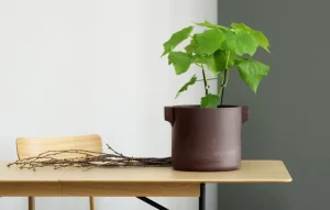 Fogia Indoor-gardening^Ceramics Topf, Braun