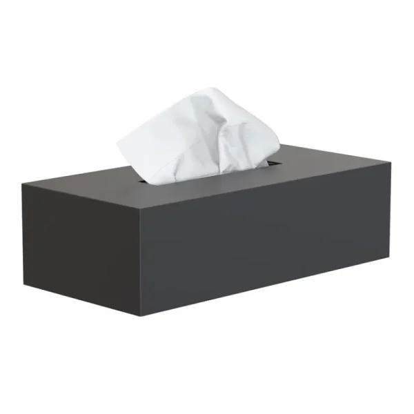 Frost Badezimmeraccessoires^Nova2-Papiertuchbox, schwarz