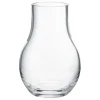 Iittala Vasen-Georg Jensen Cafu Vase, klein, transparent