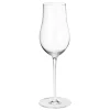 Georg Jensen Gläser Und Tassen^Sky Champagnerglas, 250 ml, 6 Stück