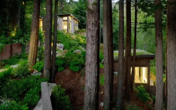 Gestalten Architektur^Evergreen Architecture: Overgrown Buildings and Greener Living