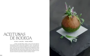 Gestalten Speisen^Story on a Plate: The Delicate Art of Plating Dishes