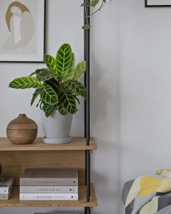 HAY Garten | Indoor-gardening^Blumentopf und Untersetzer, M, grau