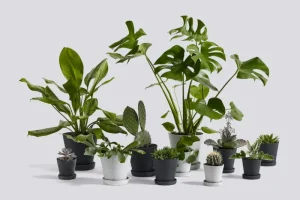 HAY Garten | Indoor-gardening^Blumentopf und Untersetzer, M, grau