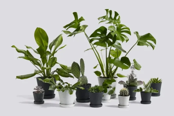 HAY Garten | Indoor-gardening^Blumentopf und Untersetzer, M, grau
