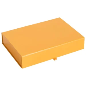 HAY Aufbewahrungsbehälter^Colour Storage Schmuckkasten, Eigelb