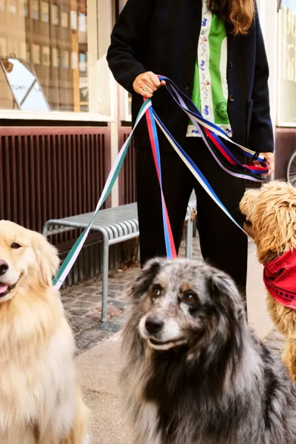 HAY Haustiere^Dogs Hundeleine, glatt, M-L, Blau - Cremeweiß