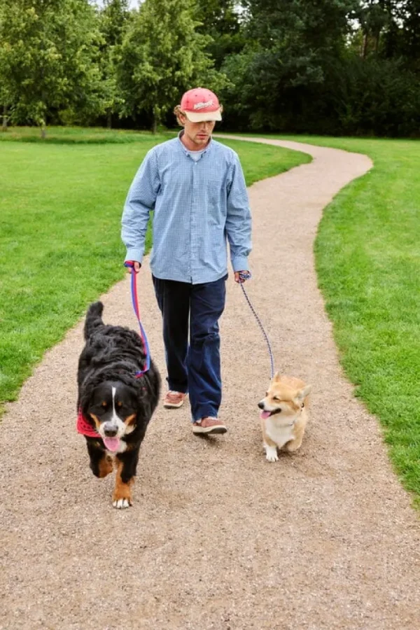 HAY Haustiere^Dogs Hundeleine, geflochten, Lavendelfarben - Grün