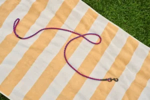HAY Haustiere^Dogs Hundeleine, geflochten, Rot - Blau