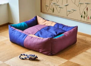 HAY Haustiere^Dogs Spielseil, Blau - Violett - Ockergelb
