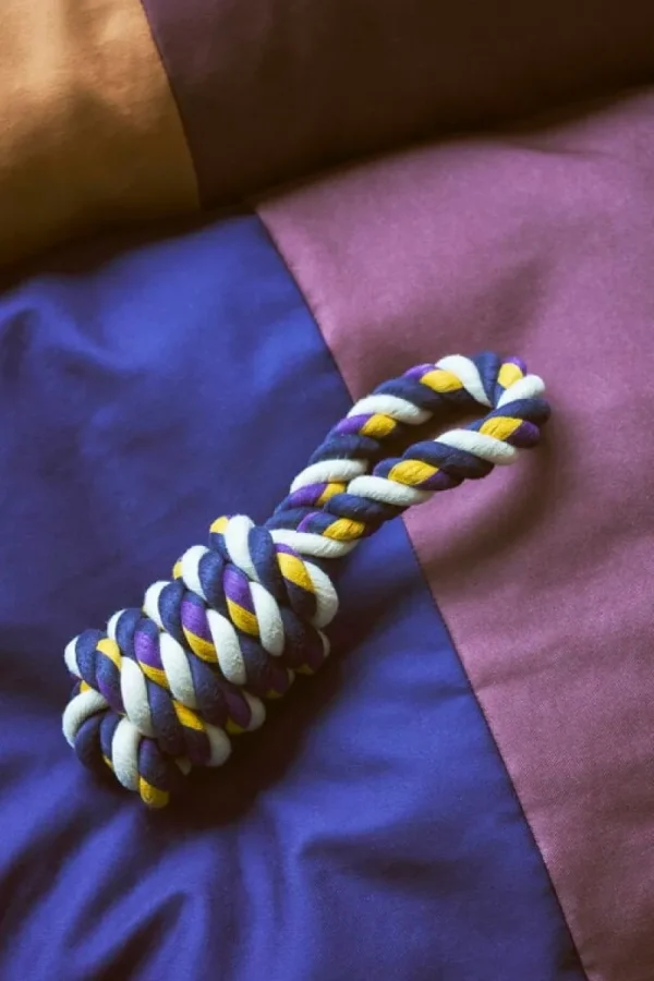 HAY Haustiere^Dogs Spielseil, Blau - Violett - Ockergelb