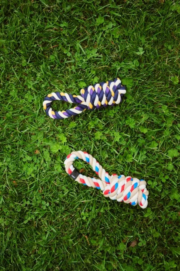 HAY Haustiere^Dogs Spielseil, Blau - Violett - Ockergelb