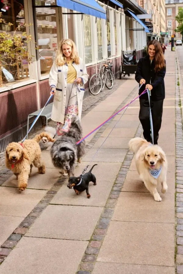 HAY Haustiere^Hundehalsband, glatt, S-M, Blau - Cremeweiß