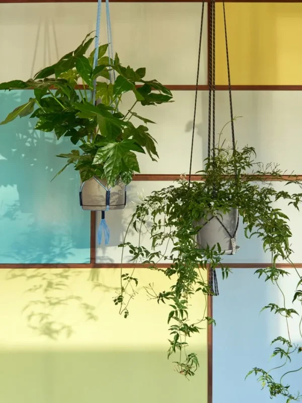 HAY Garten^Phanta Pflanzenaufhänger, Hellblau