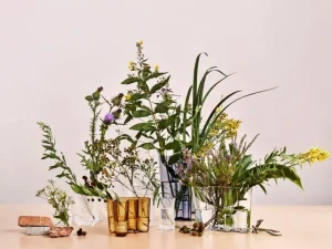 Audo Copenhagen Vasen-Iittala Aalto Vase, 160 mm, transparent