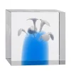 Iittala Glaskunst | Dekorationsgegenstände^Annual Cube 2024