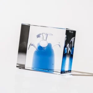 Iittala Glaskunst | Dekorationsgegenstände^Annual Cube 2024
